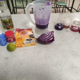 8º ano: Experimento de pH com repolho roxo