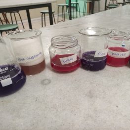 8º ano: Experimento de pH com repolho roxo