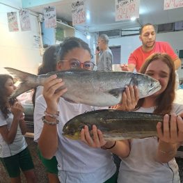 8º ano: Ciências in loco